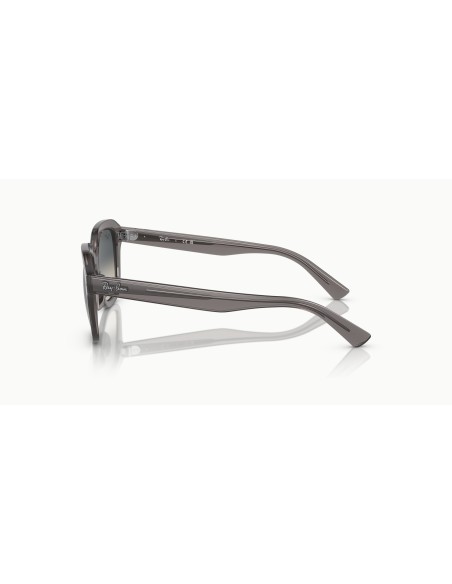 RAY-BAN - ERIK - RB4398 - 667571 - 53