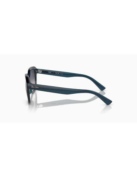 RAY-BAN - ERIK - RB4398 - 667678 - 51