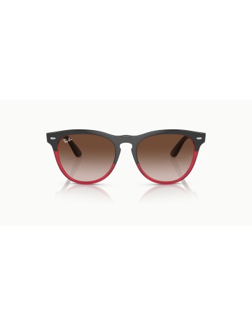 RAY-BAN - IRIS - RB4471 - 663113 - 54 2