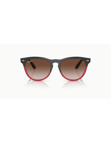 RAY-BAN - IRIS - RB4471 - 663113 - 54