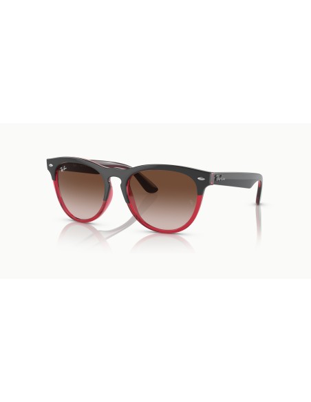 RAY-BAN - IRIS - RB4471 - 663113 - 54