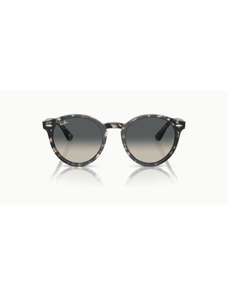 RAY-BAN - LARRY - RB7680S - 133371 - 49