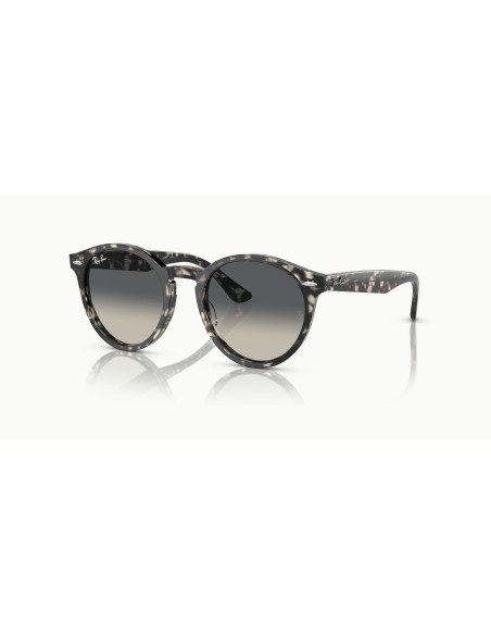 RAY-BAN - LARRY - RB7680S - 133371 - 49