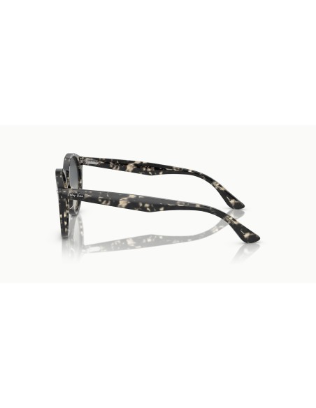 RAY-BAN - LARRY - RB7680S - 133371 - 49