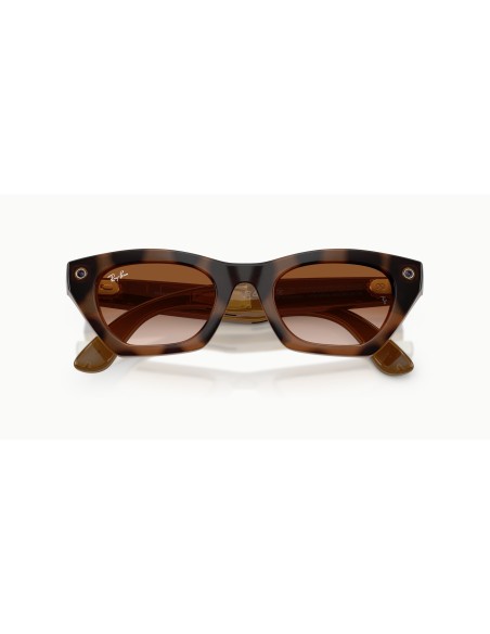Ray-Ban Meta - ZENA - RW4015 - 690513 - 49
