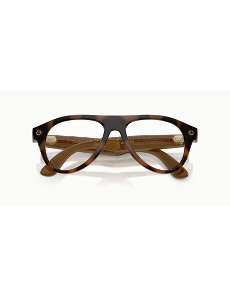 Ray-Ban Meta - AVIATOR - RW4016 - 6905M4 - 54