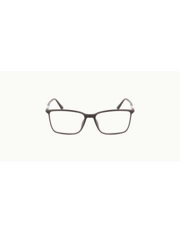 CALVIN KLEIN - CK22508/N - 2 - 55 2
