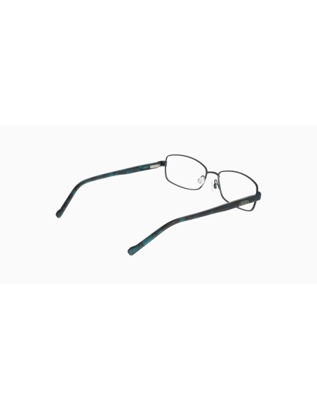 DKNY - DK3009 - 430 - 55