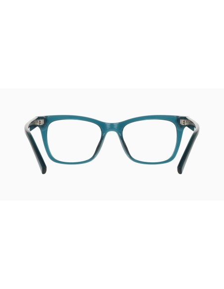 DKNY - DK5098 - 430 - 49