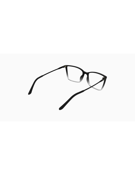 CALVIN KLEIN - CK26542 - 007 - 53
