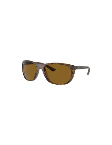 RAY-BAN - RB4307 - 710/83 - 61