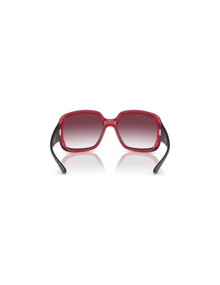 RAY-BAN - POWDERHORN - RB4347 - 66628H - 60