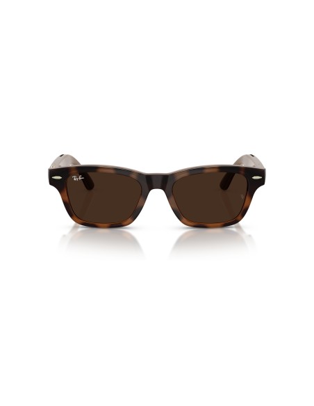 RAY-BAN META - RAY-BAN META AUDIO BURBANK - RW7005 - 6928M4 - 54