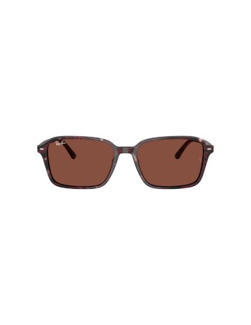 RAY-BAN - RAIMOND - 0RB2231 - 1416C5 - 58 2