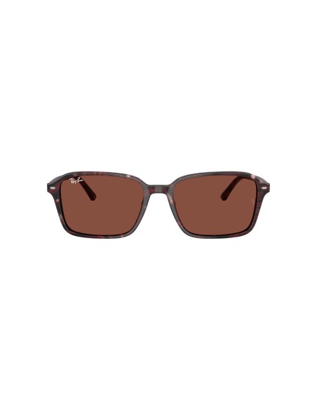 RAY-BAN - RAIMOND - 0RB2231 - 1416C5 - 58