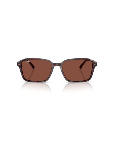 RAY-BAN - RAIMOND - 0RB2231 - 1416C5 - 58