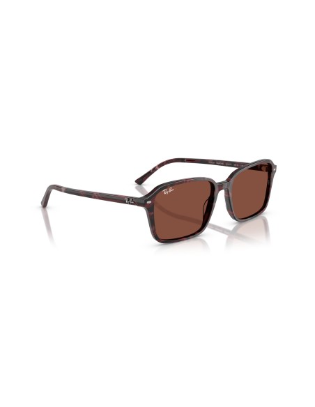 RAY-BAN - RAIMOND - 0RB2231 - 1416C5 - 58