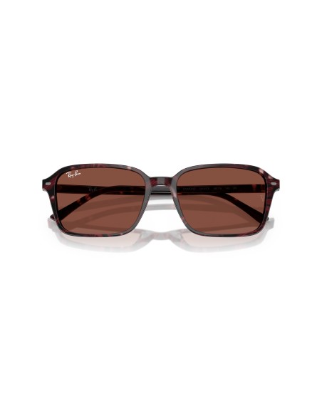 RAY-BAN - RAIMOND - 0RB2231 - 1416C5 - 58
