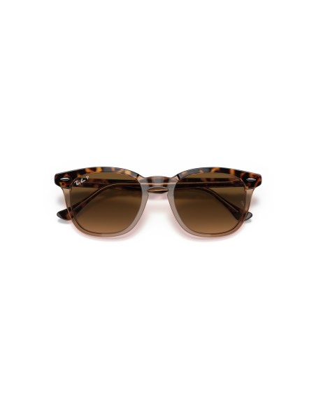 RAY-BAN - HAWKEYE - 0RB2298 - 1292M2 - 50