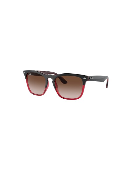 RAY-BAN - STEVE - 0RB4487 - 663113 - 54
