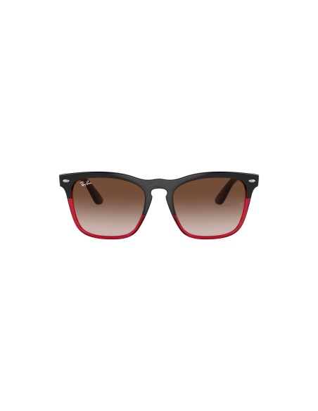 RAY-BAN - STEVE - 0RB4487 - 663113 - 54