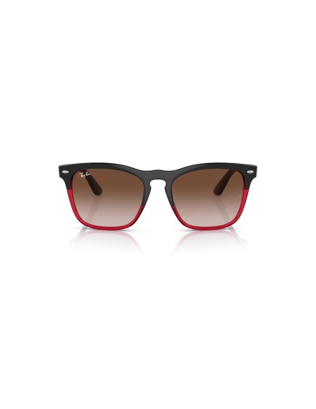 RAY-BAN - STEVE - 0RB4487 - 663113 - 54