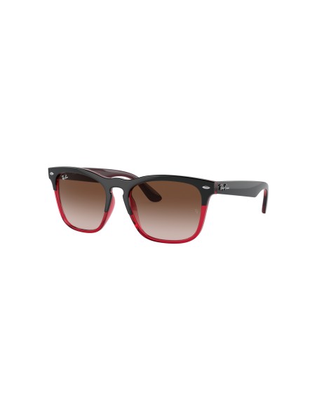 RAY-BAN - STEVE - 0RB4487 - 663113 - 54