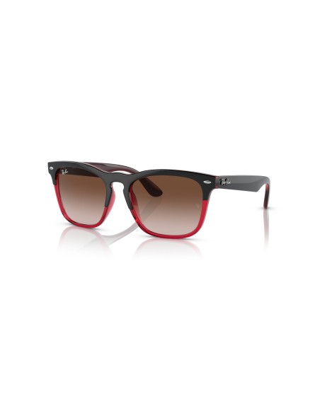 RAY-BAN - STEVE - 0RB4487 - 663113 - 54