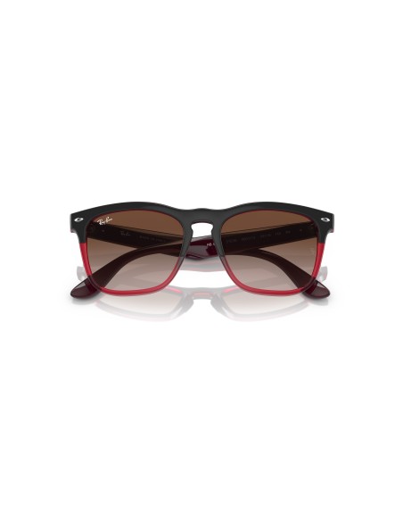 RAY-BAN - STEVE - 0RB4487 - 663113 - 54