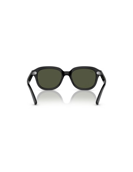 RAY-BAN - ERIK - 0RB4398 - 901/31 - 53