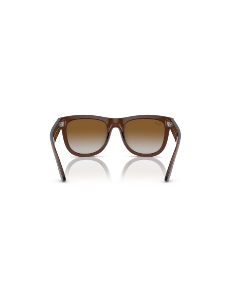 RAY-BAN - WAYFARER REVERSE - 0RBR0502S - 6709CB - 53