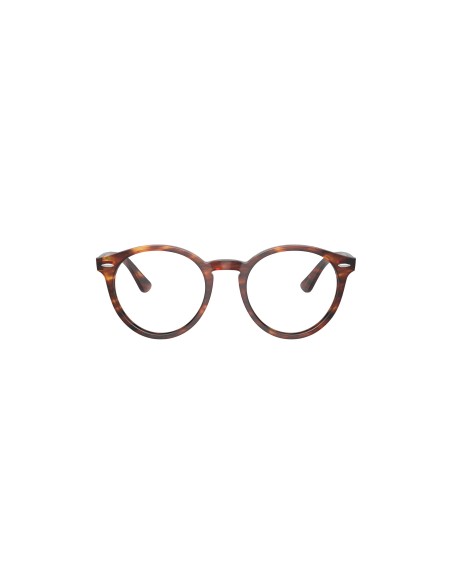 RAY-BAN VISTA - LARRY - 0RX7680V - 2144 - 51