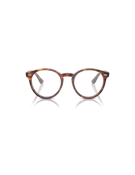 RAY-BAN VISTA - LARRY - 0RX7680V - 2144 - 51