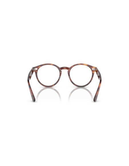 RAY-BAN VISTA - LARRY - 0RX7680V - 2144 - 51