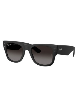 RAY-BAN RB4840S Sonnenbrille Größe 50 | Isolani