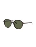 RAY-BAN - THALIA - RB2195 - 902/31 - 51