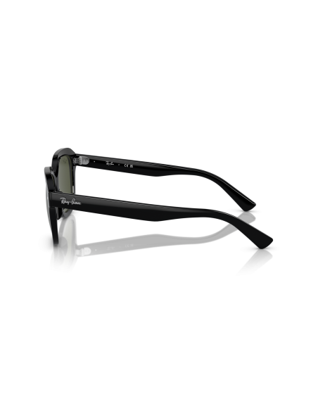 Occhiali sole RAY-BAN - ERIK - RB4398 - 901/31 - 51