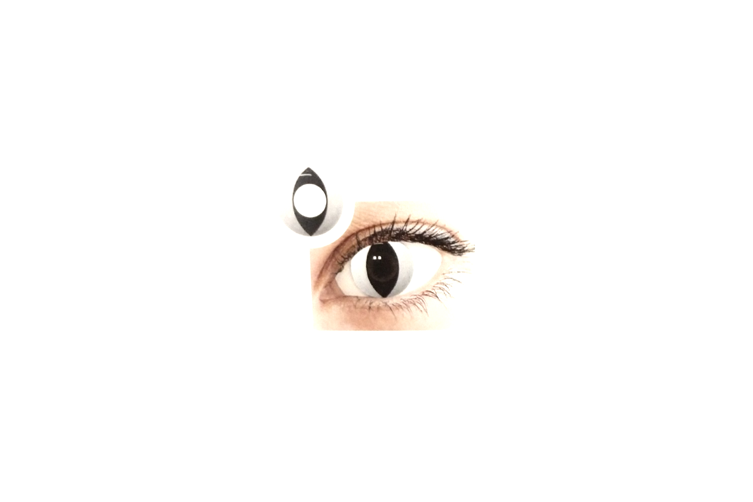 Lenti Crazy Colors - Cat Eye White