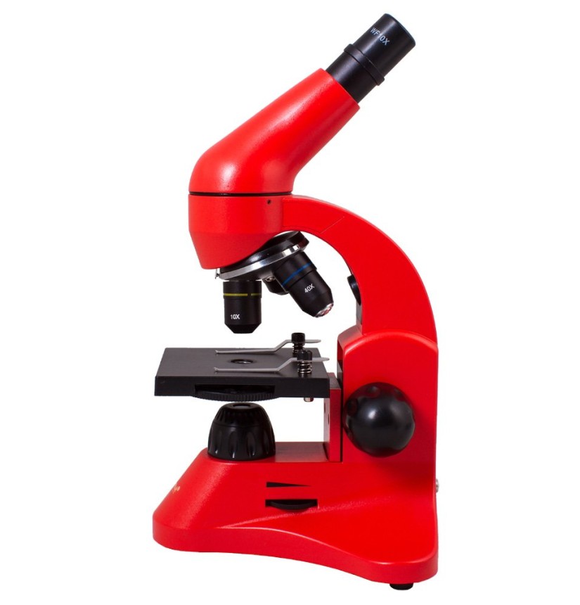 Microscopio Levenhuk Rainbow 50L, arancio