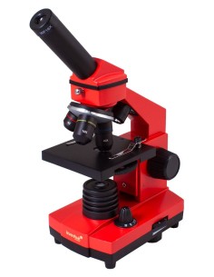 Microscopio Levenhuk Rainbow 2L PLUS, arancio 2