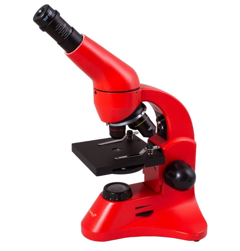 Microscopio Levenhuk Rainbow 50L PLUS, arancio
