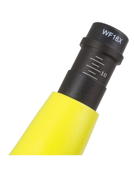 Microscopio Levenhuk Rainbow 50L PLUS, verde limetta