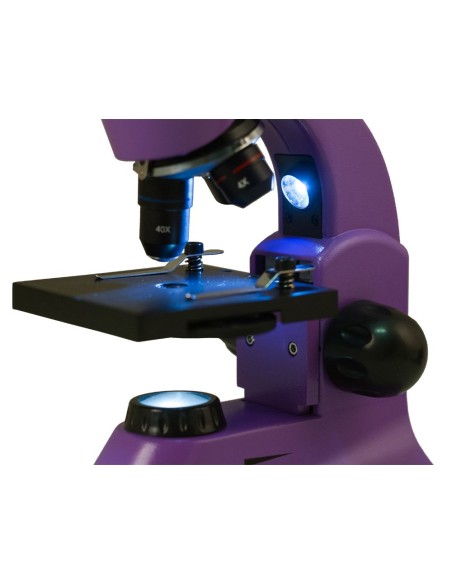 Microscopio Levenhuk Rainbow 50L PLUS, ametista