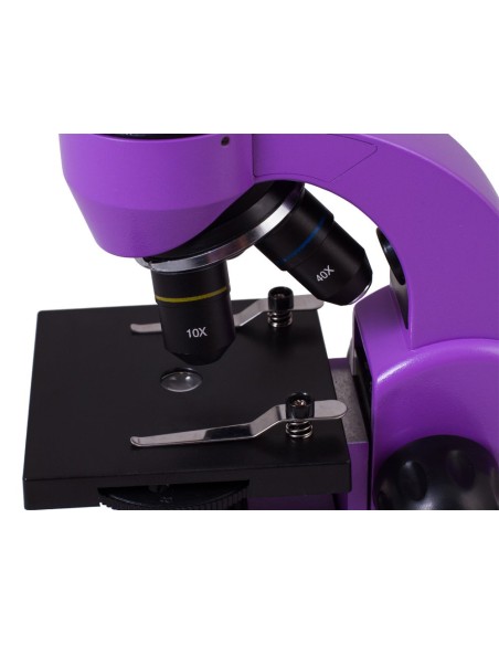 Microscopio Levenhuk Rainbow 50L, ametista