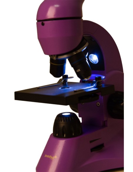 Microscopio Levenhuk Rainbow 50L, ametista