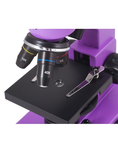 Microscopio Levenhuk Rainbow 2L, ametista