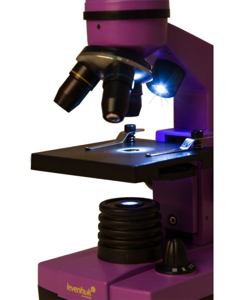 Microscopio Levenhuk Rainbow 2L, ametista