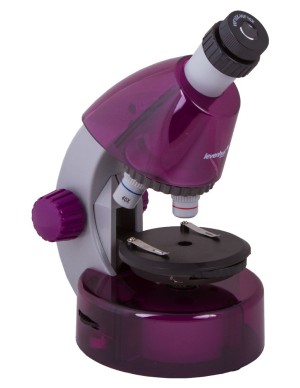 Microscopio Levenhuk LabZZ M101, ametista