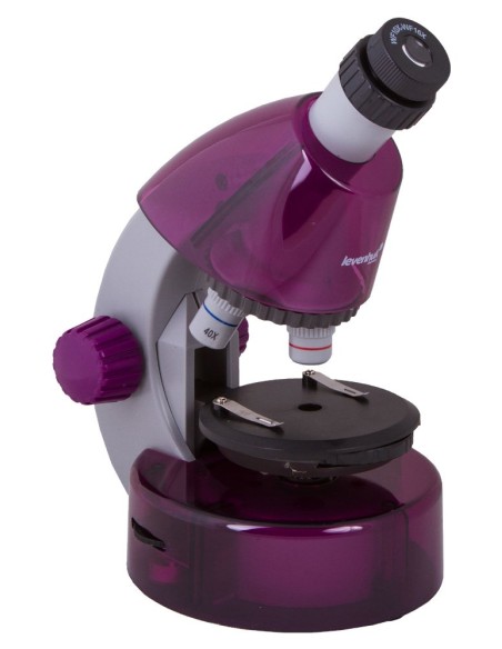 Microscopio Levenhuk LabZZ M101, ametista