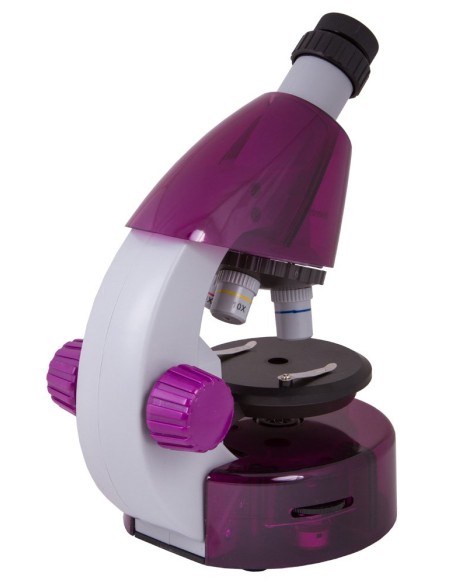 Microscopio Levenhuk LabZZ M101, ametista